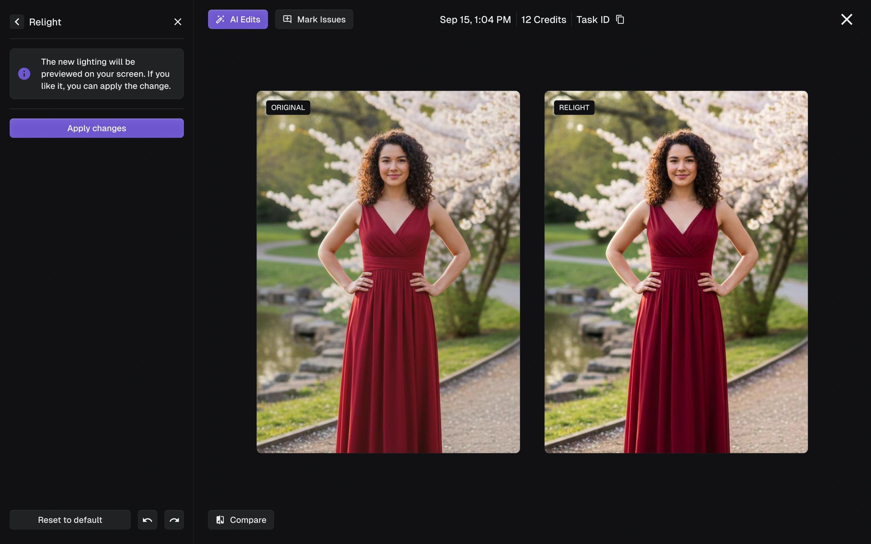 Lighting correction preview